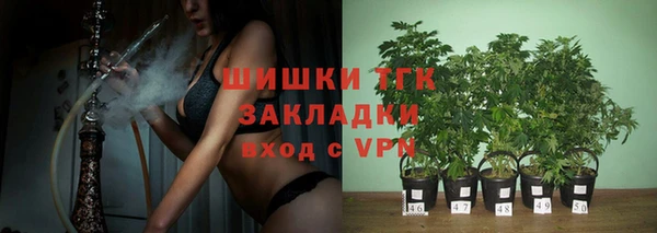 спайс Гусь-Хрустальный