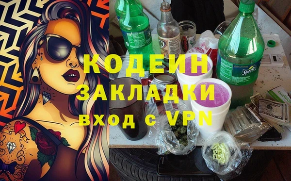 спайс Гусь-Хрустальный