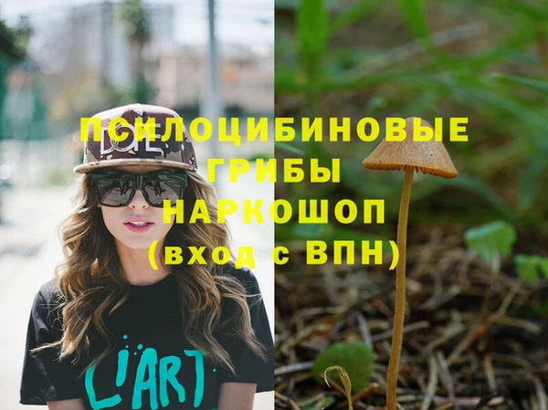 спайс Гусь-Хрустальный