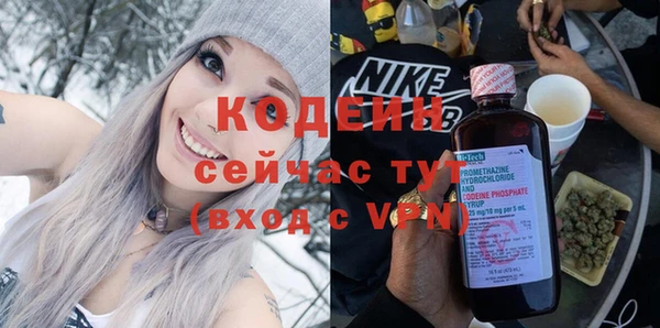 спайс Гусь-Хрустальный