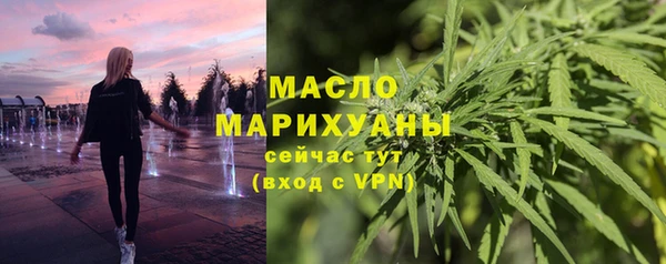 спайс Гусь-Хрустальный