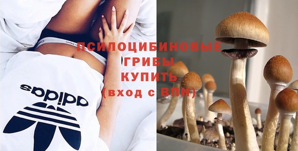 амфетамин Гусев