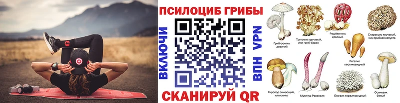 Псилоцибиновые грибы мухоморы  дарк нет какой сайт  Духовщина 